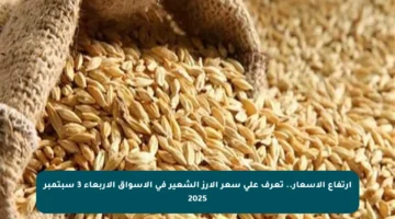 ارتفاع الأسعار.. تعرف على سعر الأرز الشعير في الأسواق الأربعاء 3 سبتمبر 2025